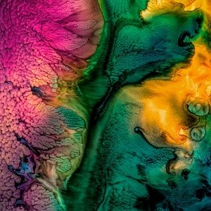 Meet your Posher, Diane